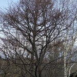 いわない温泉高島旅館 - お部屋の窓からの景色