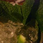 バー オスカー - ジャングル　モヒート