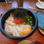 僕とうどんとカツオだし - 