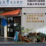 OSTERIA SELVAGGINA - 