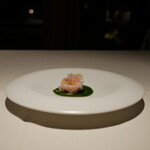 ブレストンコート ユカワタン - 