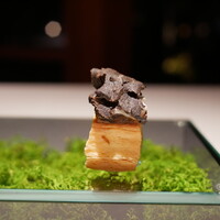 ブレストンコート ユカワタン - 