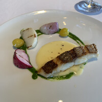 Hérisson d'un jour - 