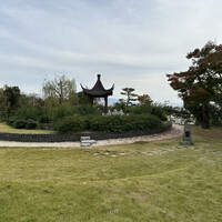 一茶一酒 - 