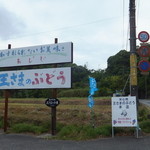 宮田ファミリーぶどう園直売所 - 看板