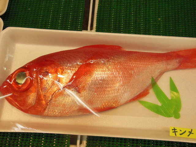 maruyoshi - 徳岛市/鱼类料理・海鲜料理 [食べログ](简体中文)