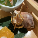 博多 鮨 よこ田 - 