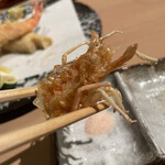 博多 鮨 よこ田 - 