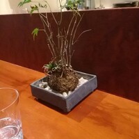Restaurant Re: - 