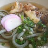 よもぎや - 料理写真:まいたけ天うどん(よもぎ)