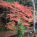 鳥居茶屋 - 