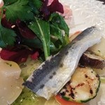 ガット ソリアーノ - アンティパスト