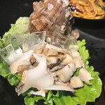 Japanese black abalone / Korean abalone / Clams / Turban shells / Oysters / Surf clams / Scallops / Bird shells / Tyra clams