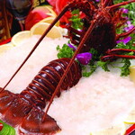 Ise lobster/Boston lobster/Kuruma prawn/Angel prawn