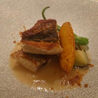 SCALAE - 