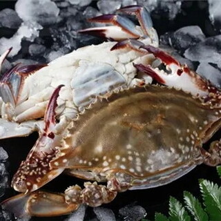 【新鮮！海鮮料理】当日お客様のお好みの調理方法が選べます♪