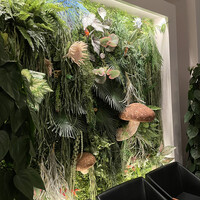 Shangri-La’s secret 表参道店 - 