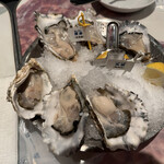 Oyster Bar ジャックポット - 