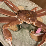 麻布 かどわき - 松葉蟹