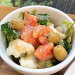 飛行船スタイル 南條 - サラダ