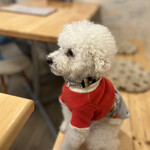 サッカバッカ - ＰＵＡちゃんもパンケーキ待ちｗ