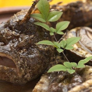 きざかな かくみ_1