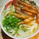 卓 - ごぼう天うどんその３