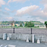 かしわ・鶏刺し専門店 大摩桜 - 