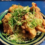 シン・ハジメマシテ - シン・カラアゲ（レギュラー半人前）