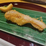 天冨良 麻布よこ田 - 