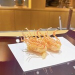 天冨良 麻布よこ田 - 