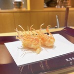 天冨良 麻布よこ田 銀座別邸 - 