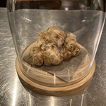 イル アオヤマ - 