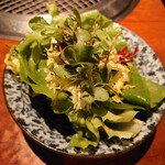 よろにく - 塩たれサラダ