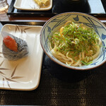 Marugame Seimen - 