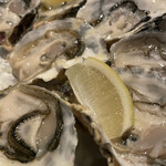 FAST OYSTERS - 