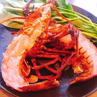 煉 今泉店 -  煉 今泉店 -