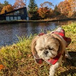 イタリア料理 ルッチコーレ - 