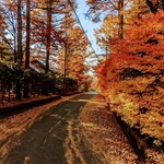 イタリア料理 ルッチコーレ - 