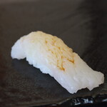 すし大 - アオリイカ