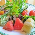 プラナスタイル - しゃきしゃきの新鮮サラダ