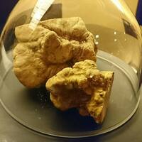 にくの匠 三芳 - 