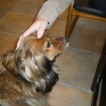 秀月 - 2007年ハナちゃん