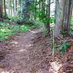 里山カフェ - オープンテラスまでの道
