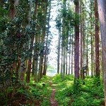 里山カフェ - オープンテラスへはこの森をぬけて