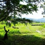 里山カフェ - オープンテラス見えてきました