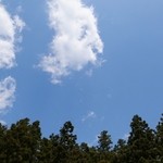 里山カフェ - 空が広い！