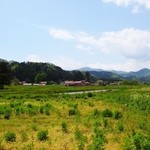 里山カフェ - オープンテラスのちょっと先