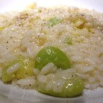 FILO - そら豆のリゾット