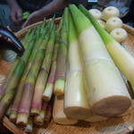 興 - まこも筍・ひめ筍